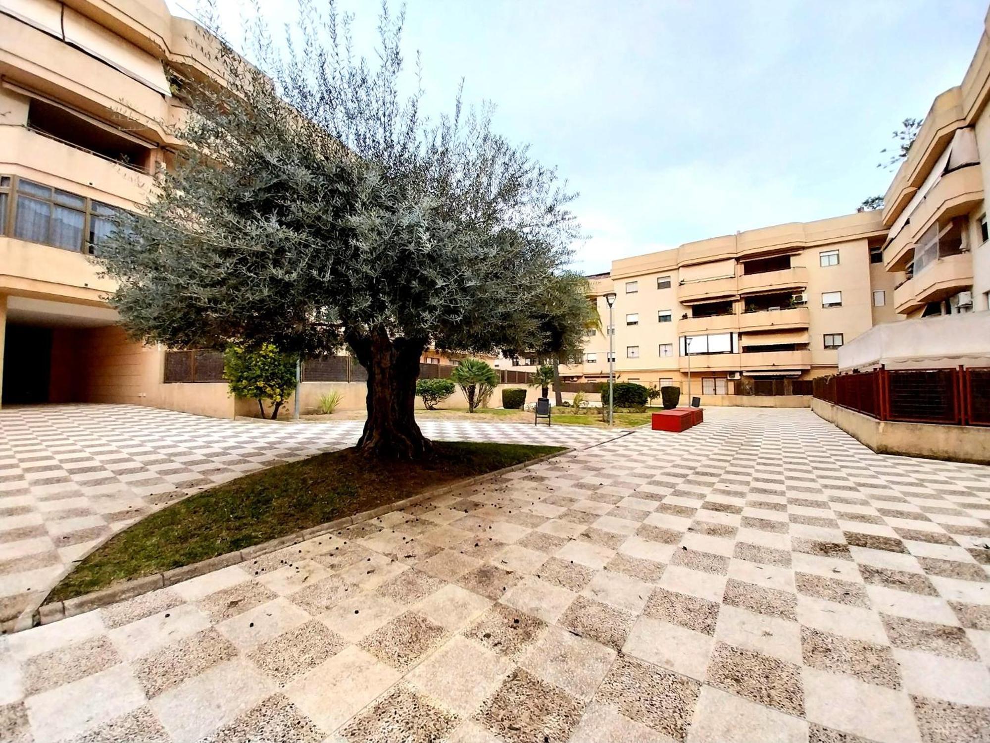Top Suite Apartment Jerez Jardin Y Patio Jerez de la Frontera Extérieur photo