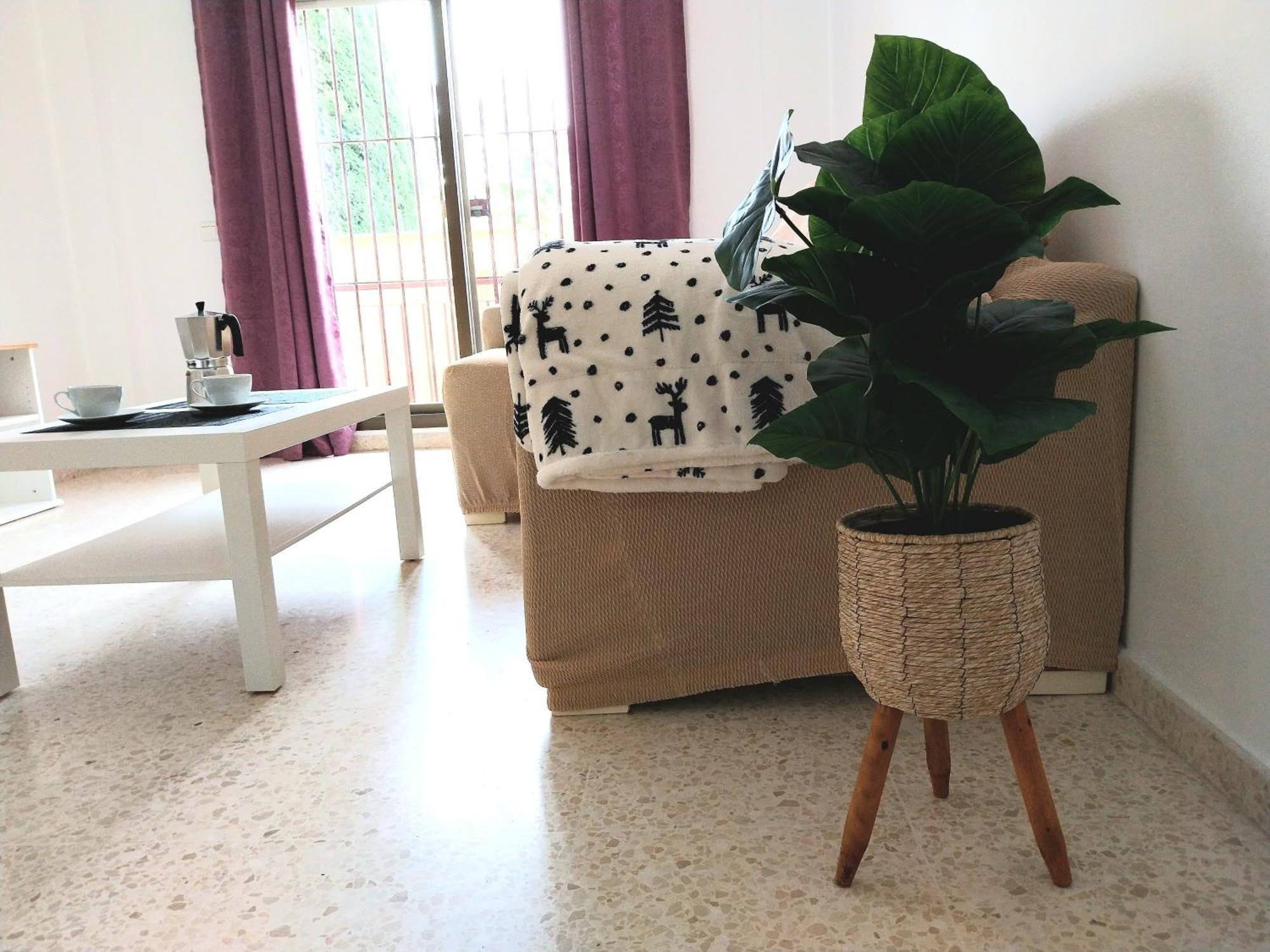 Top Suite Apartment Jerez Jardin Y Patio Jerez de la Frontera Extérieur photo